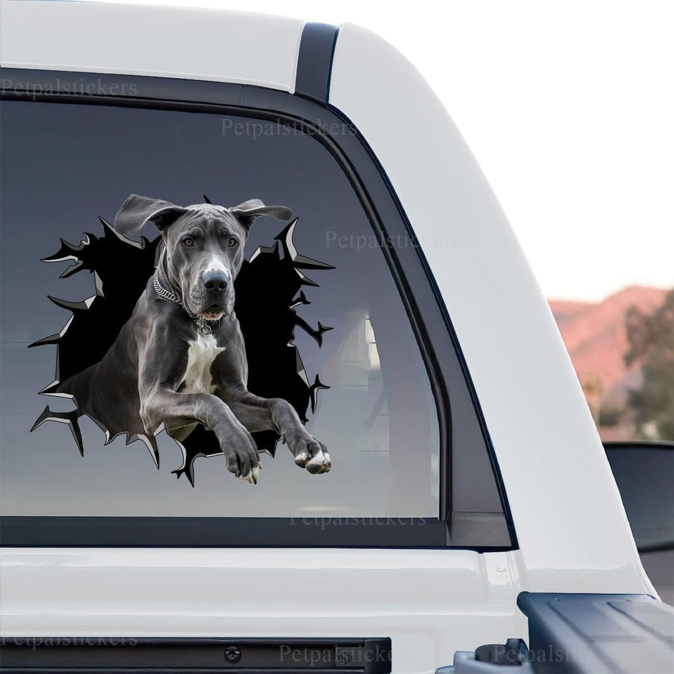Graphic standalone product design of a Great Dane peeking through cracked glass.