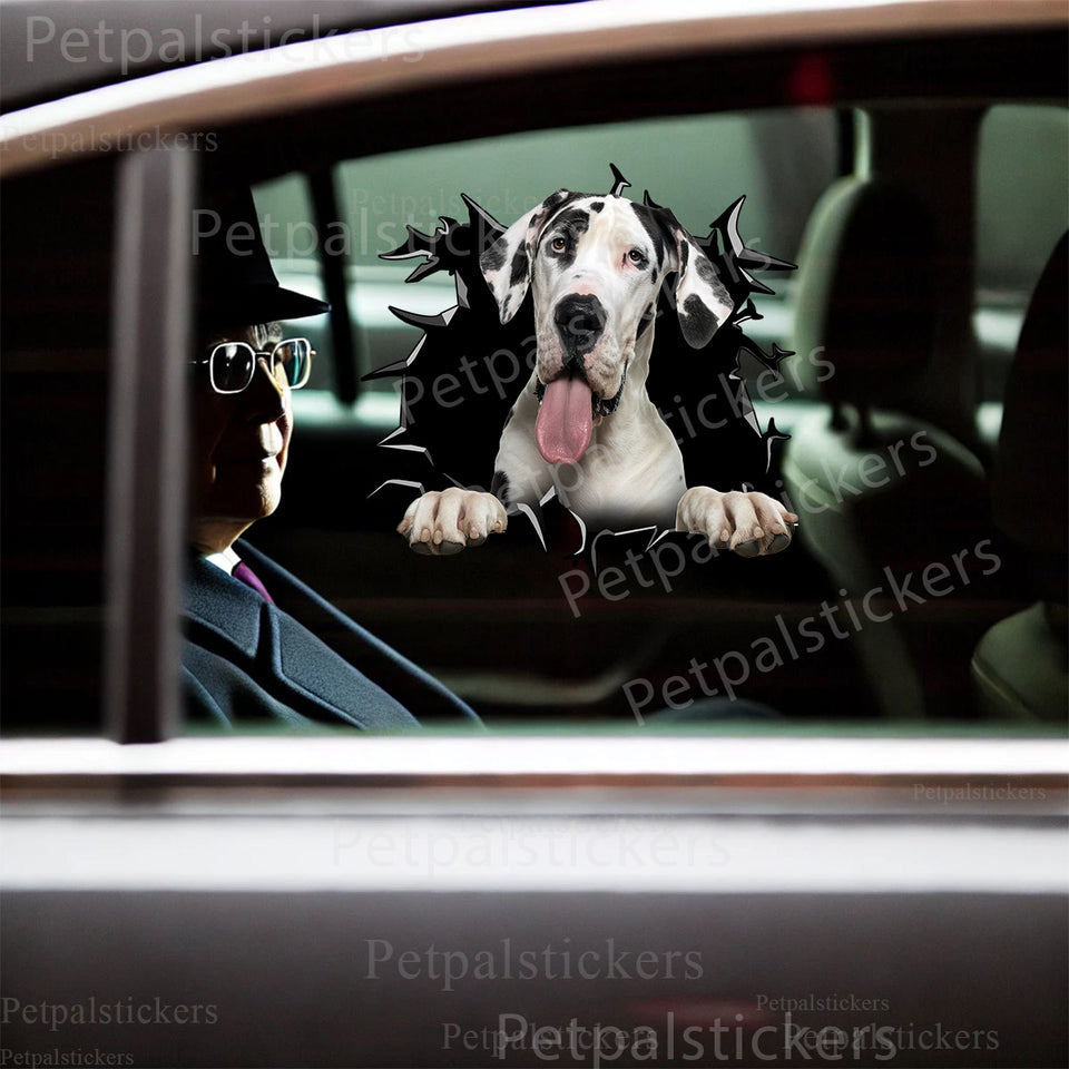 Funny Great Dane decal applied neatly to an exterior car door.