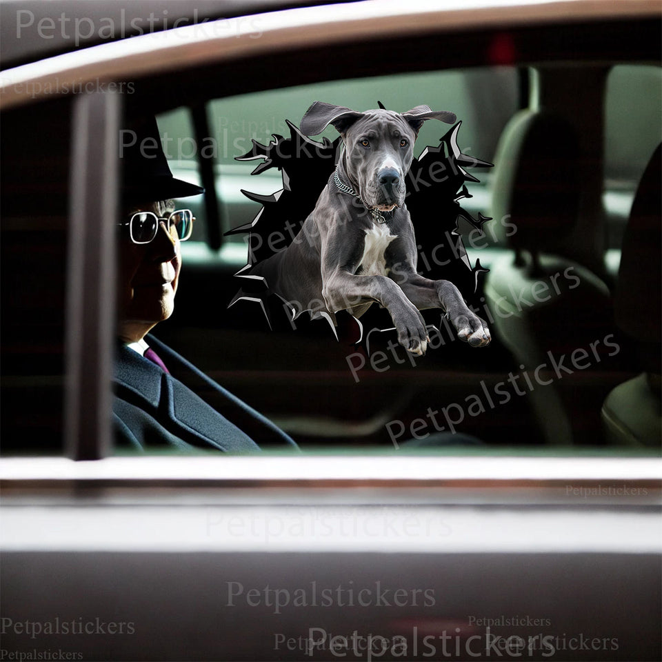 Realistic Great Dane dog sticker displayed on a car door exterior.