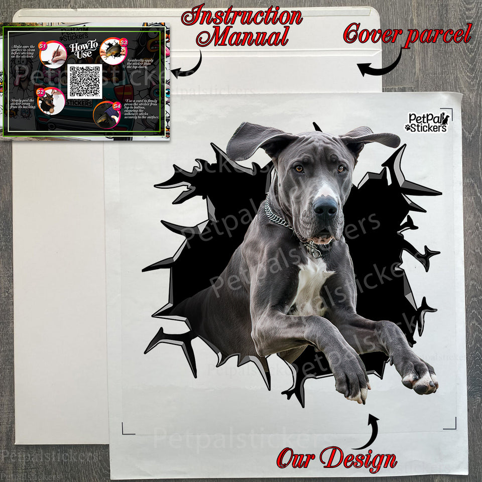 Unopened product package containing the Great Dane vinyl sticker with instructions.
