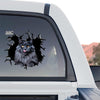 Outdoor decal displayed on the back window of a truck highlighting the peeking cat artwork.