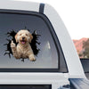Peeking Labradoodle vinyl sticker showcased on the rear glass of a truck.
