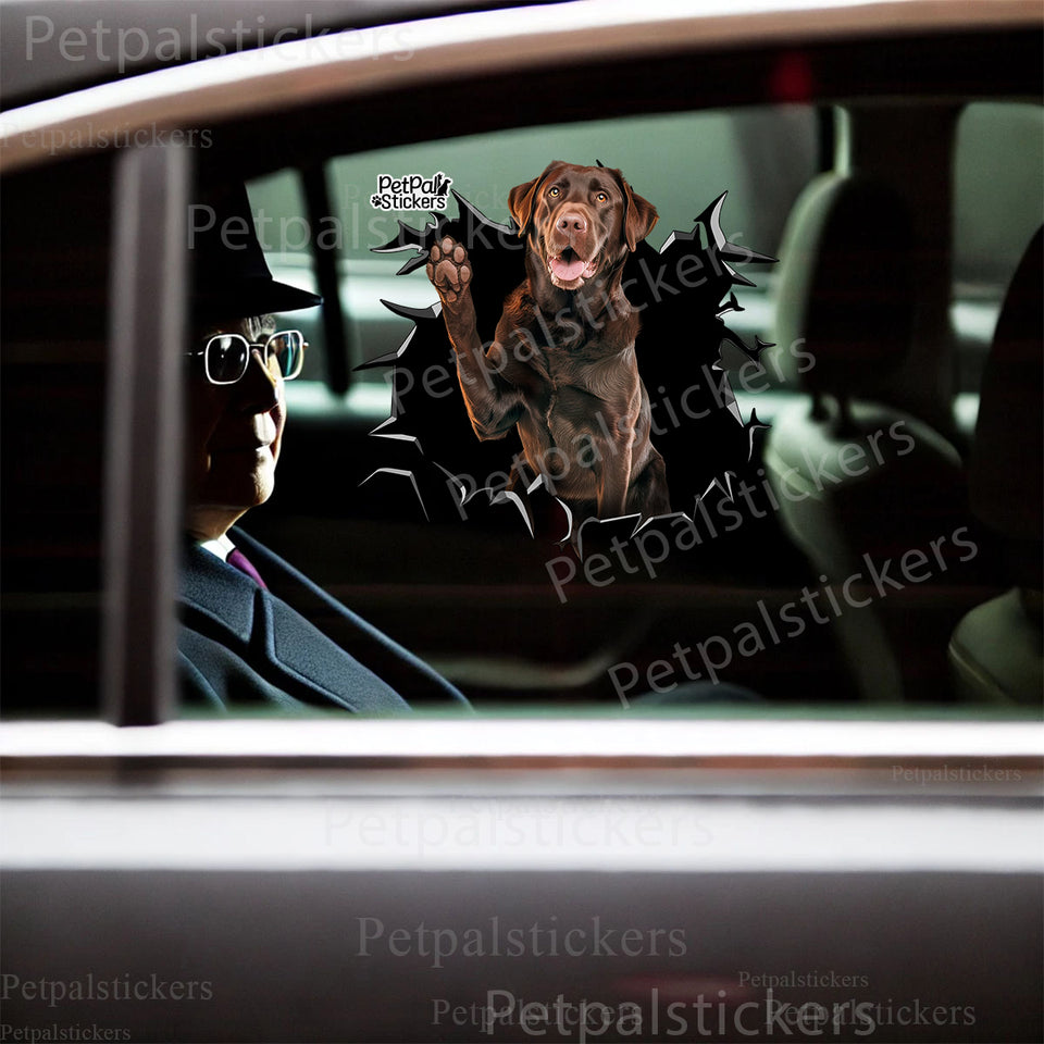 Vibrant Labrador vinyl sticker displayed prominently on the exterior car door panel.