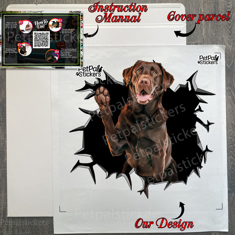 Unboxed Labrador car decal ready for application alongside its secure package wrapping.