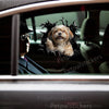 Adorable Lhasa Apso decal artwork displayed on the smooth exterior of a white car door.