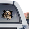 Vibrant Lhasa Apso peeking sticker applied to the rear window of a truck.