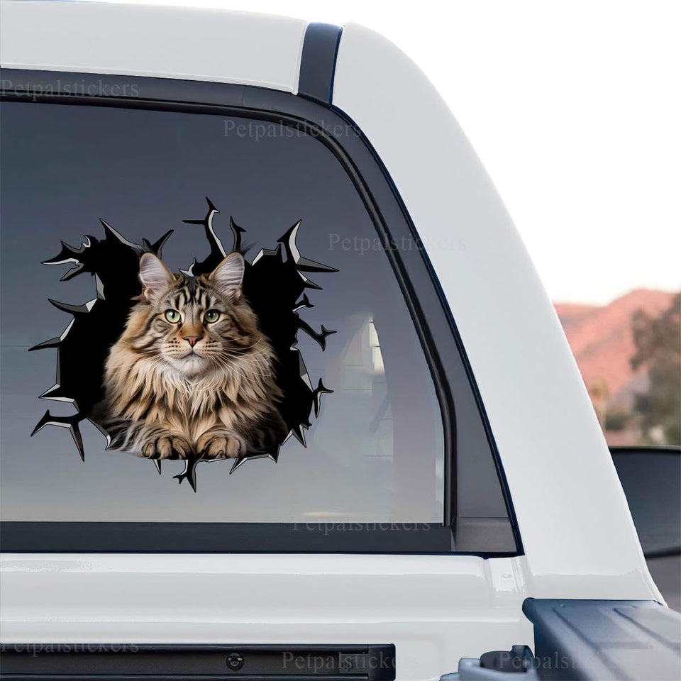 Maine Coon standalone product design graphic decal with realistic cracked glass look.