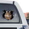 Maine Coon standalone product design graphic decal with realistic cracked glass look.