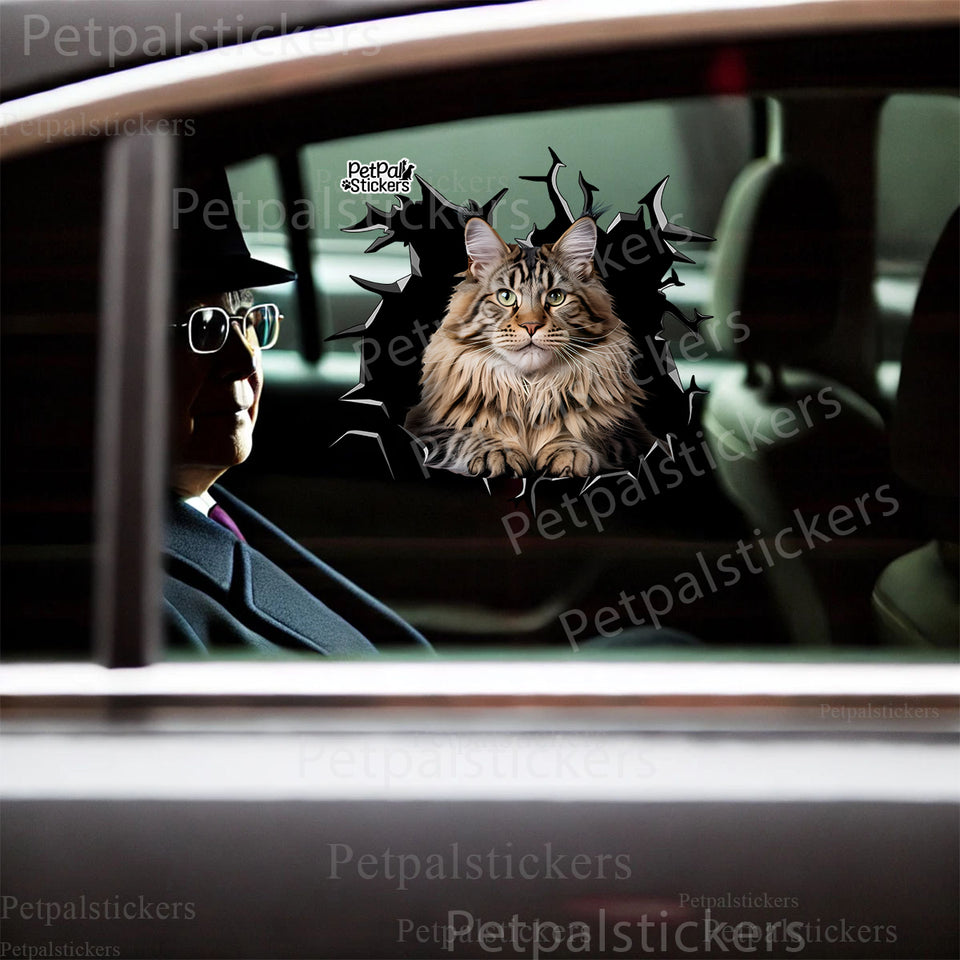 Vibrant Maine Coon decal displayed clearly on the smooth finish of a car door.