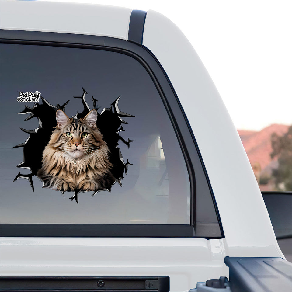 Funny peeking Maine Coon sticker applied to the rear glass window of a truck.