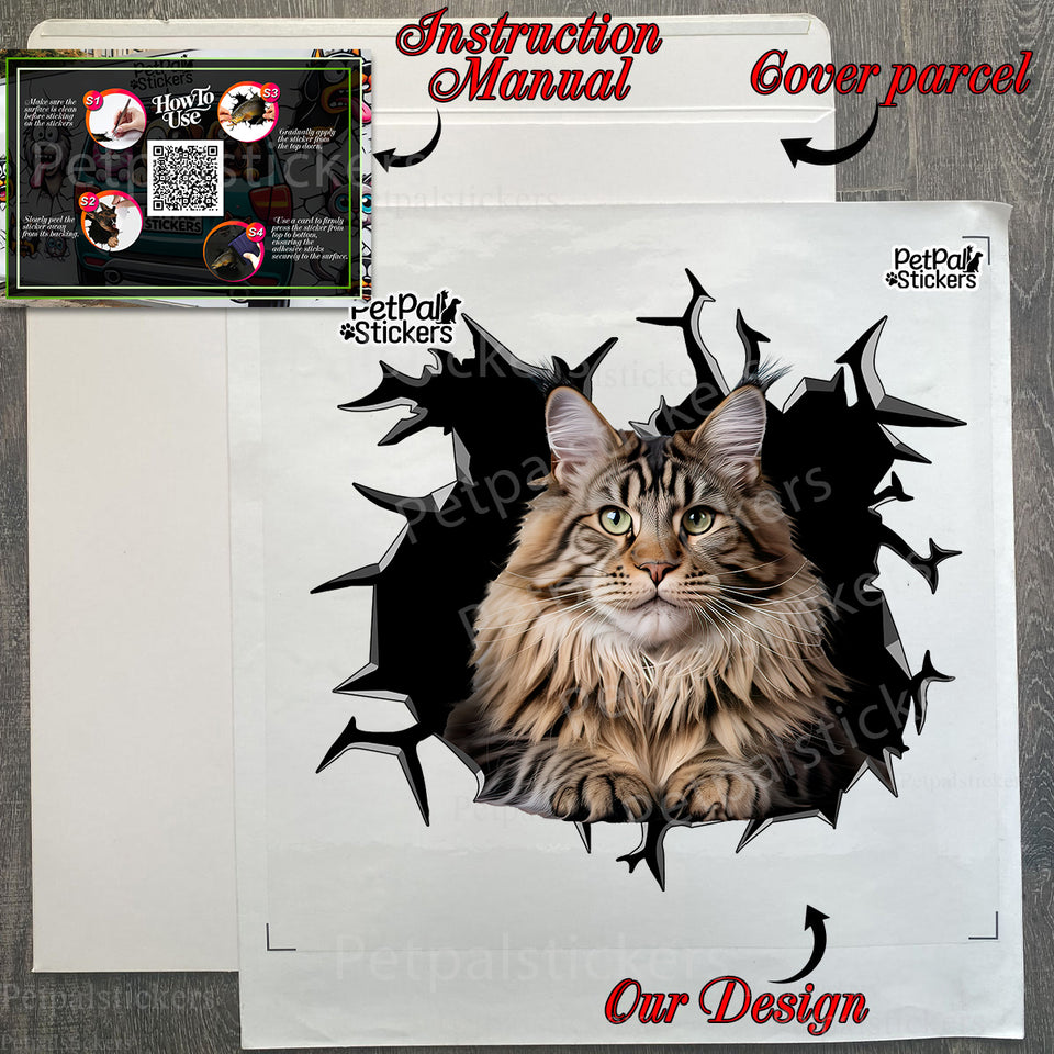 Carefully wrapped package showing the Maine Coon car decal and instructions.