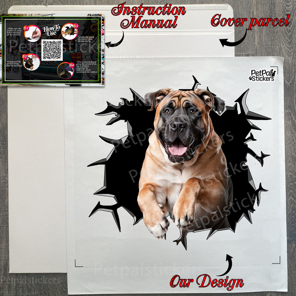Delivered Mastiff car window decal set laid out neatly alongside its protective package.