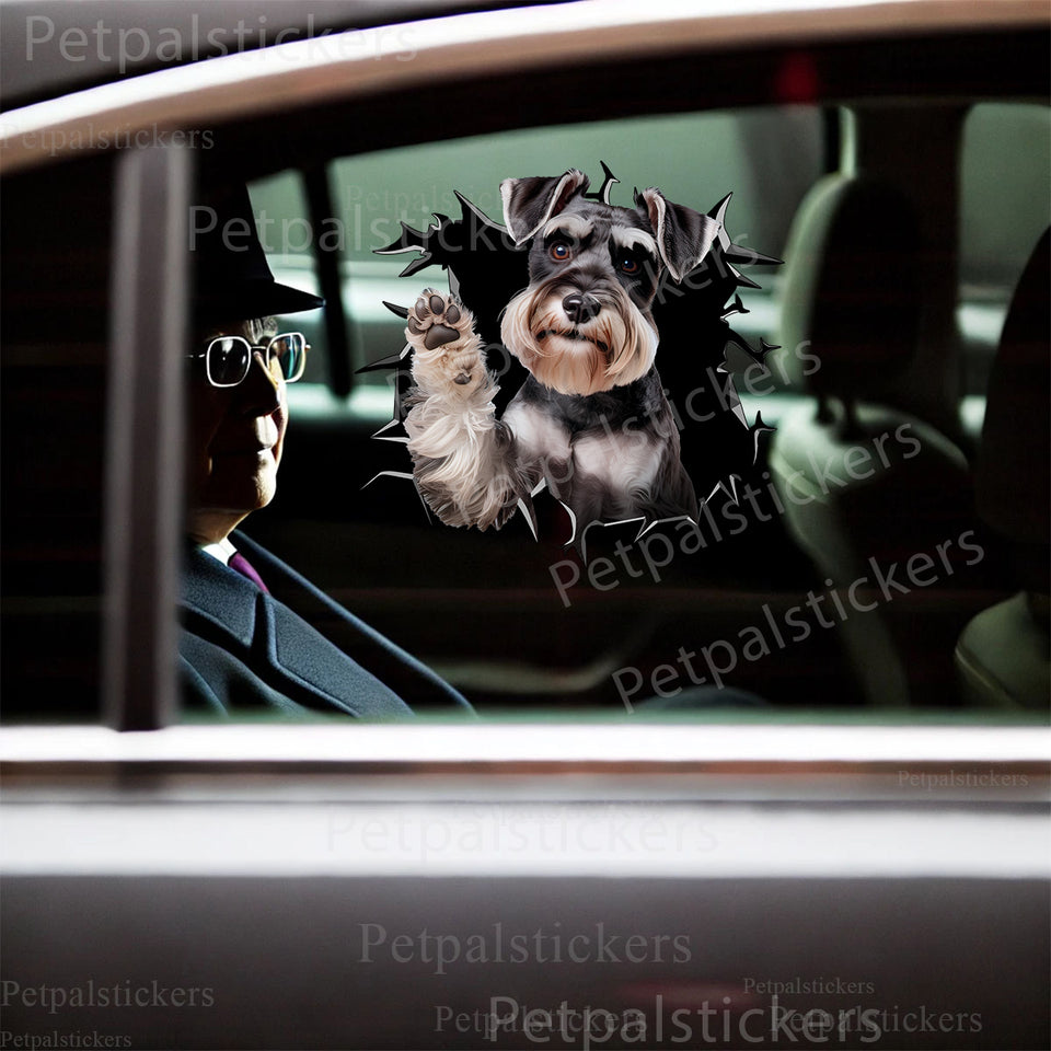 Vibrant Miniature Schnauzer decal applied smoothly on a white car door.