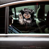 Vibrant Miniature Schnauzer decal applied smoothly on a white car door.