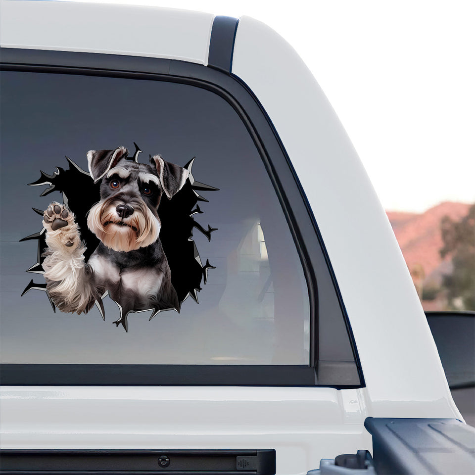Outdoor vehicle styling showing the funny dog decal adhered to a truck rear window.