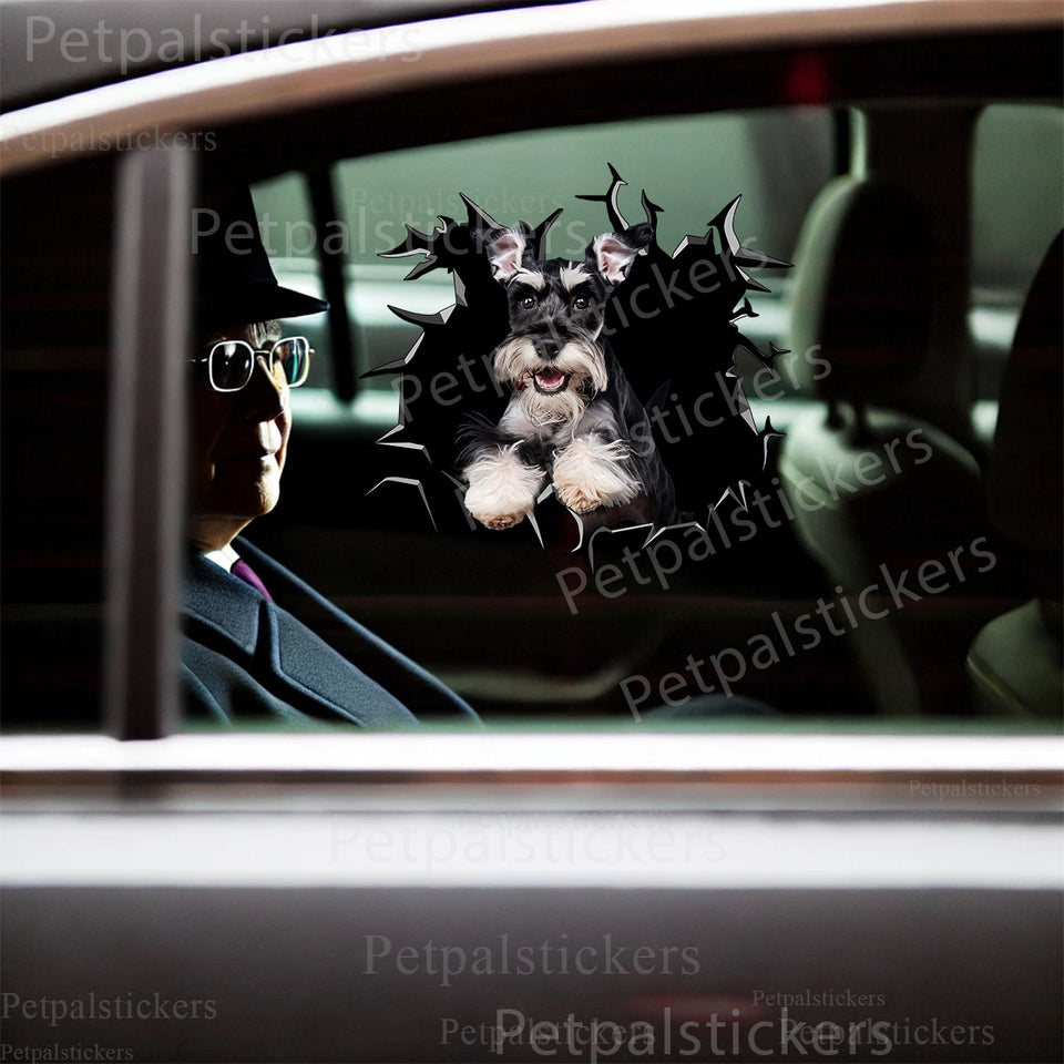 Realistic Miniature Schnauzer cracked window sticker applied smoothly to a white car door surface.