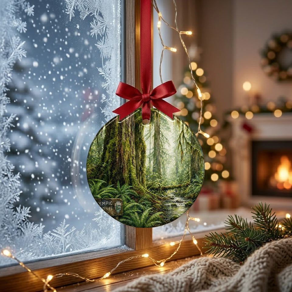 Misty rainforest keepsake catching winter morning light while hanging in front of a frosty window.