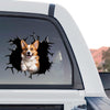 Pembroke Welsh Corgi standalone product design graphic with a vibrant realistic look
