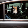 Glossy Pembroke Welsh Corgi vinyl decal affixed to an automobile car door exterior