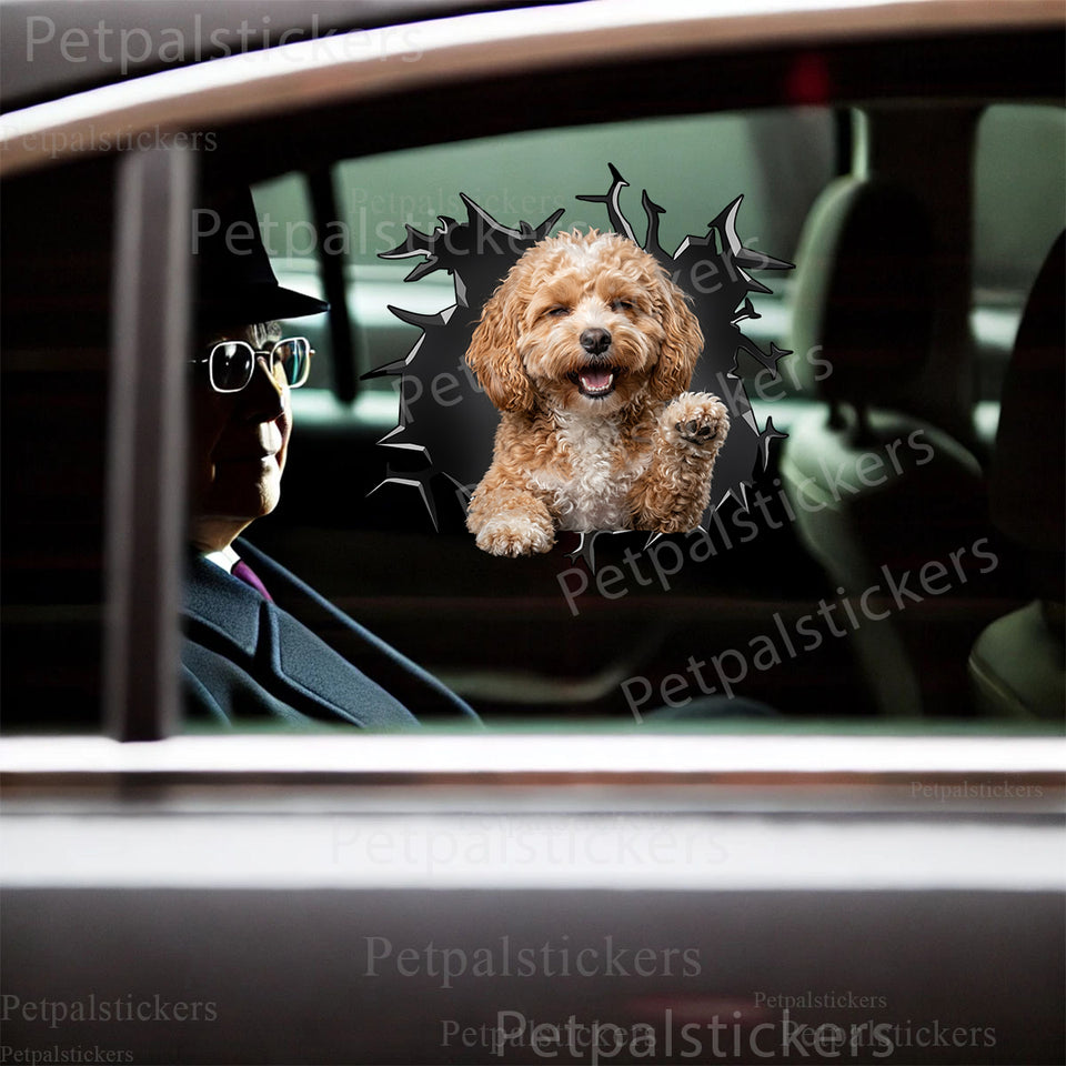 Glossy Petpal decal graphic seamlessly applied to an exterior car door.