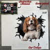 Protective mailer package containing the Petpal vinyl decal with guide.