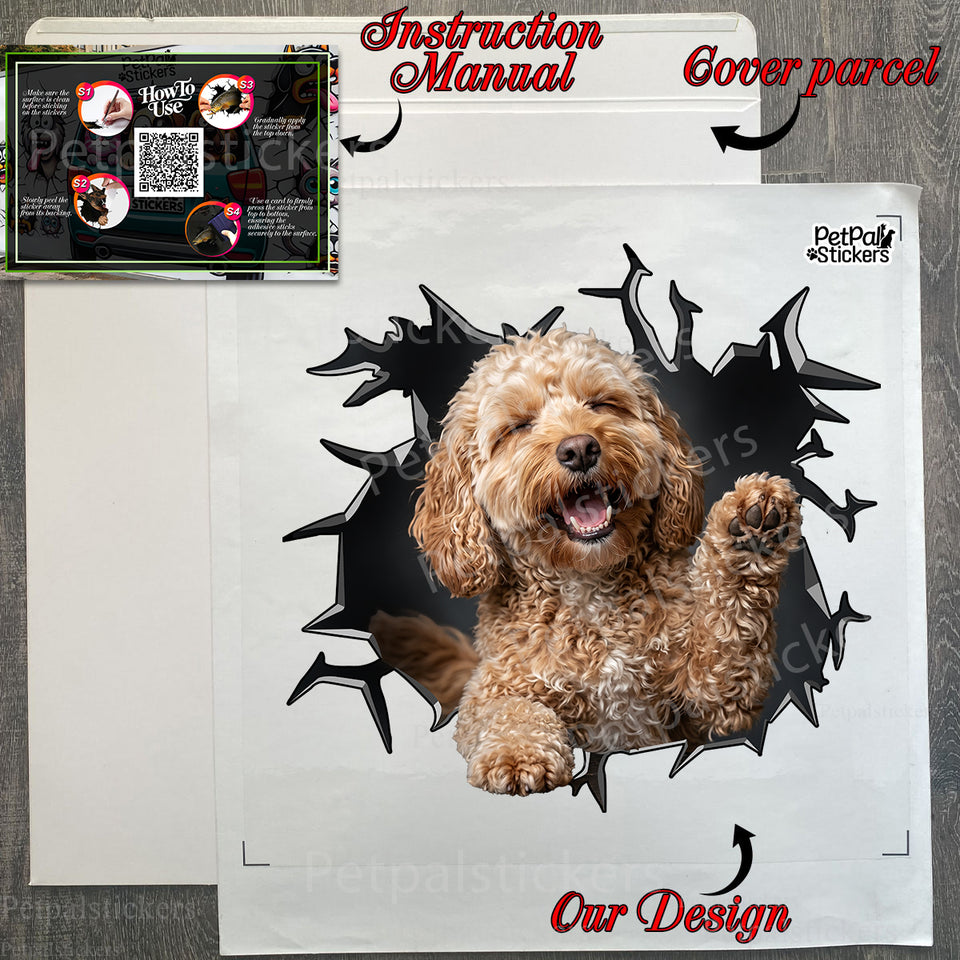 Securely wrapped package containing a glossy Petpal window decal with application guide.