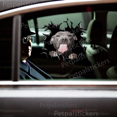 Playful Pitbull vinyl decal applied smoothly to the surface of a toilet lid.
