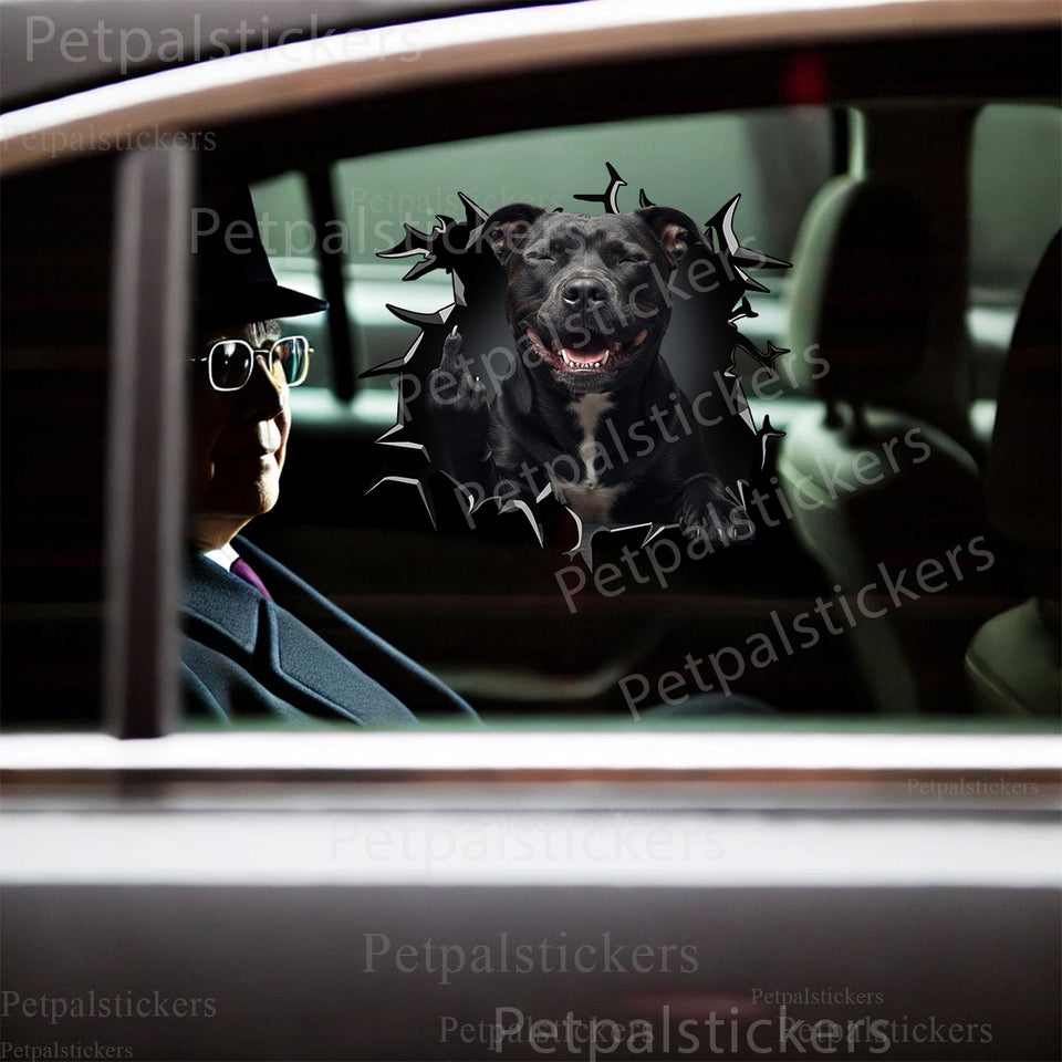 Playful Pitbull graphic decal applied smoothly onto an exterior car door.