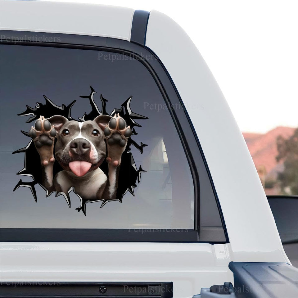 Pitbull graphic decal artwork presented as a standalone product design on a transparent vinyl background.