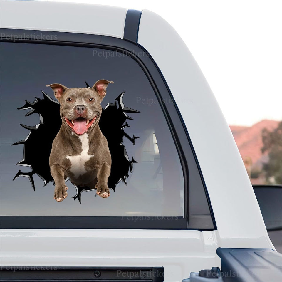 Clear vinyl Pitbull car decal featuring a standalone product design on transparent film.
