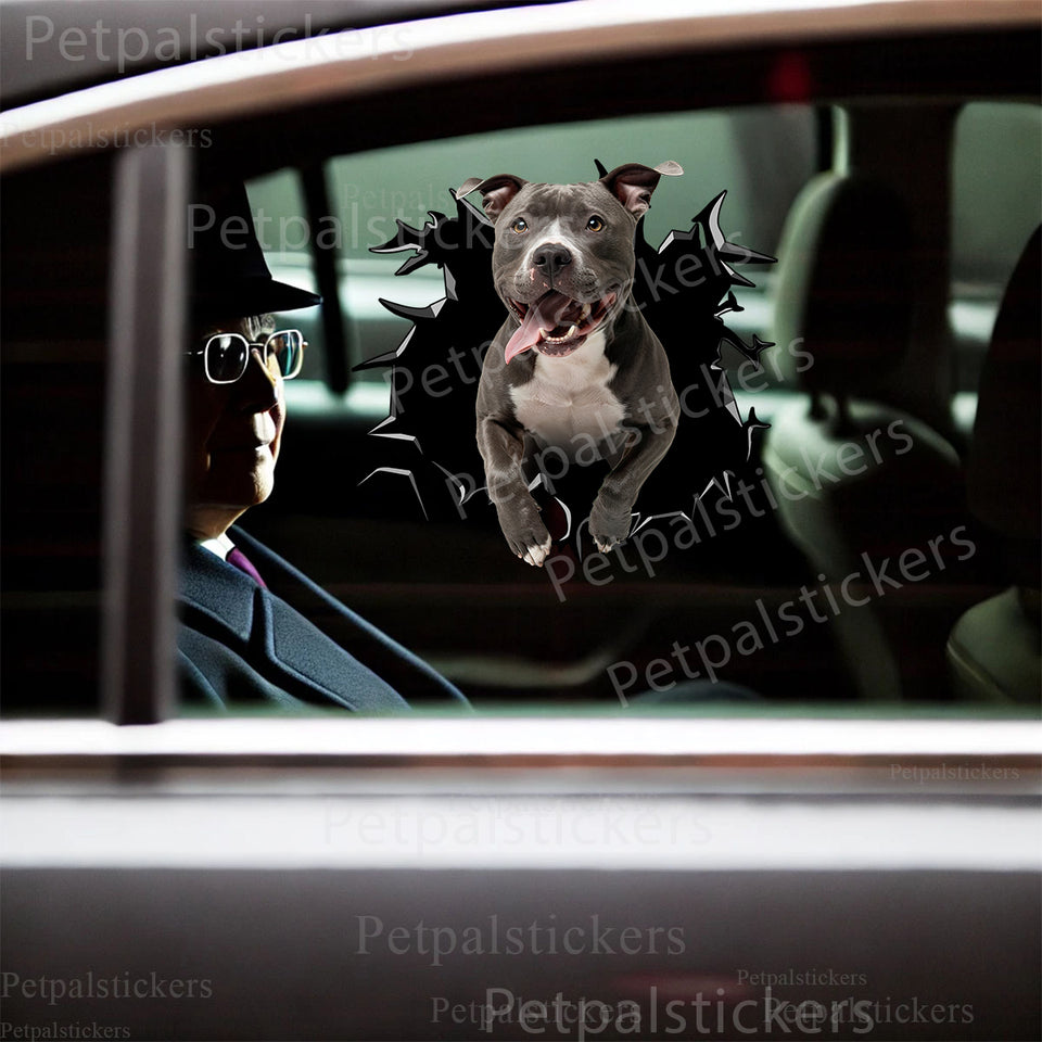 Realistic Pitbull decal applied smoothly to the exterior car door surface.