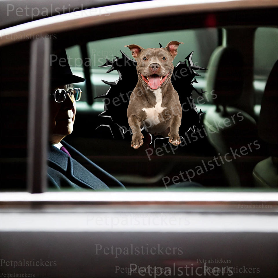 Funny Pitbull dog sticker applied to the exterior car door of a white sedan.