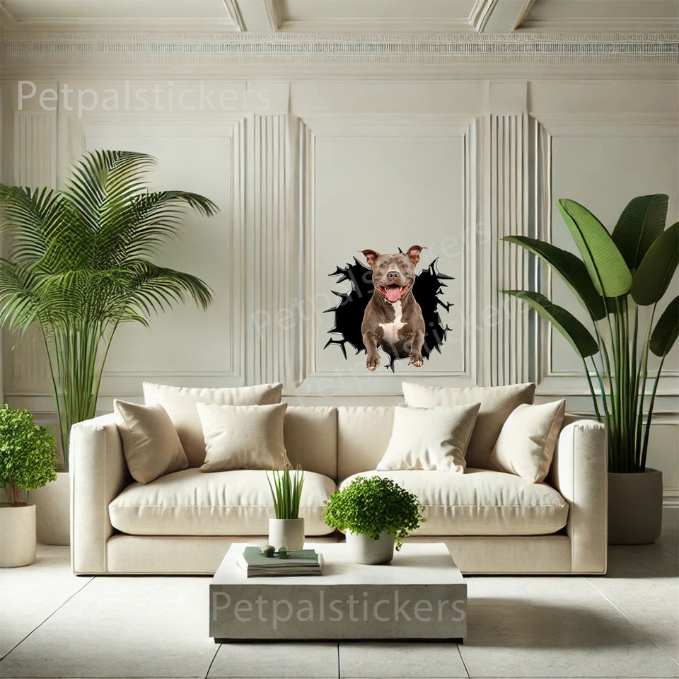 Decorative Pitbull graphic decal mounted smoothly on a neutral indoor wall.