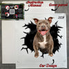 Unopened product package containing the Pitbull car decal and clear instructions.