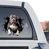Clear vinyl Pitbull standalone product design showcasing vibrant dog artwork.
