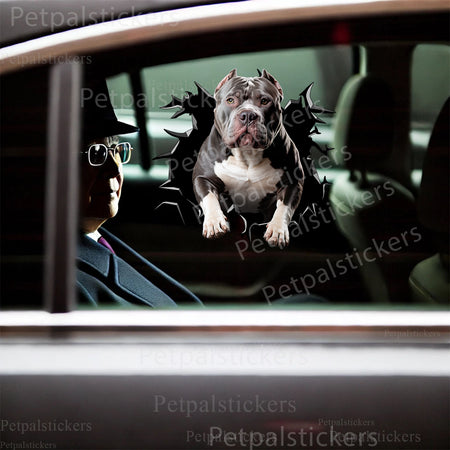 Humorous Pitbull art decal placed cleanly on the flat surface of a white toilet.