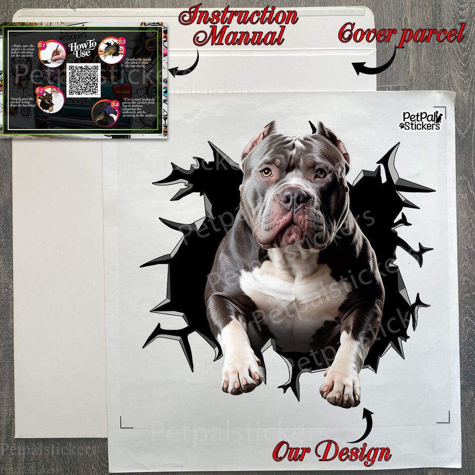 Carefully packed Pitbull decal with instructions visible inside the package.