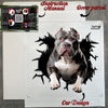 Carefully packed Pitbull decal with instructions visible inside the package.