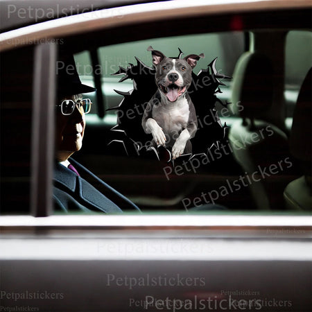 Playful Pitbull waterproof vinyl decal mounted humorously onto a smooth ceramic toilet lid.