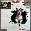 Unboxed Pitbull decal alongside protective package and clear step-by-step application instructions.