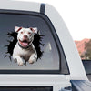 Pitbull for cars graphic decal shown as a standalone product design on a white background.