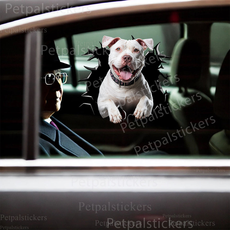 Glossy Pitbull car decal displayed neatly on the exterior car door of a white vehicle.