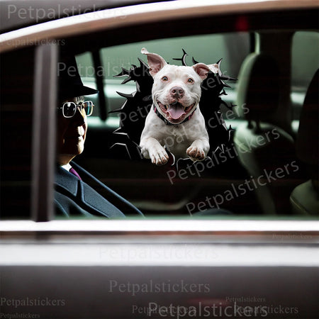 Humorous Pitbull On Board sticker affixed cleanly to the smooth lid of a bathroom toilet.