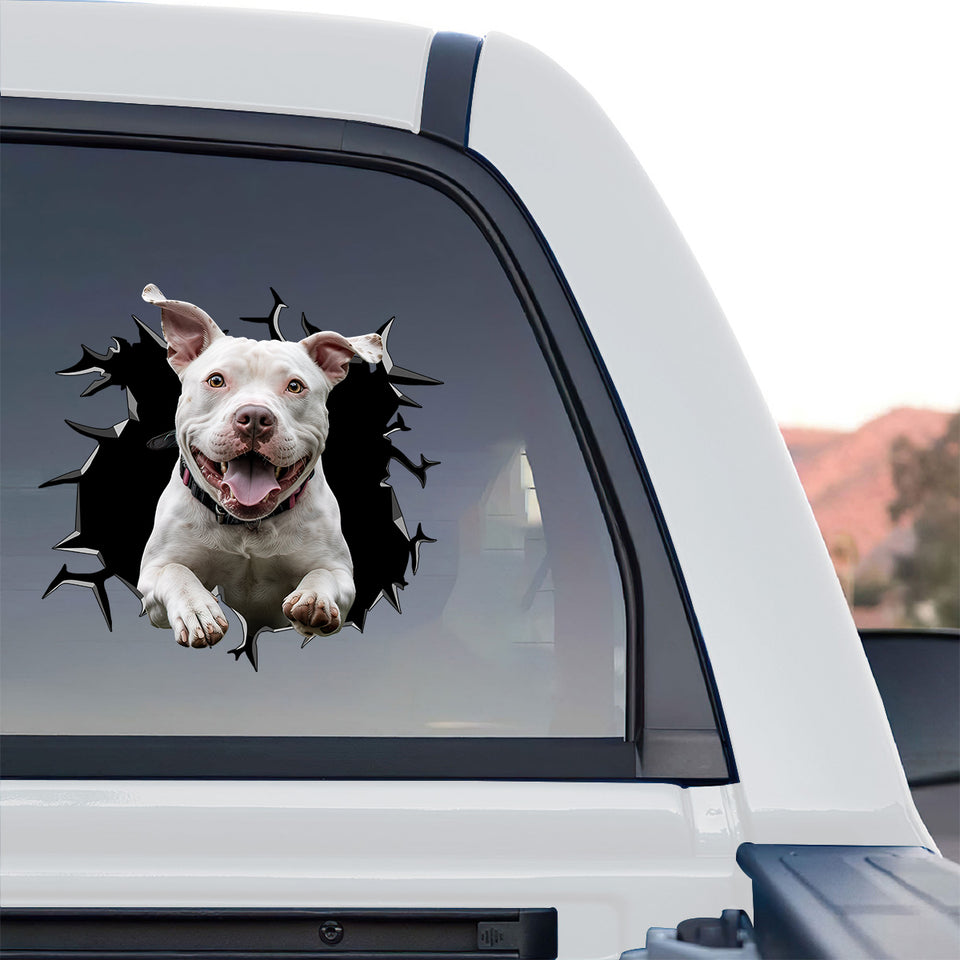 Weatherproof dog sticker showcasing Pitbull On Board mounted on the rear window of a truck.
