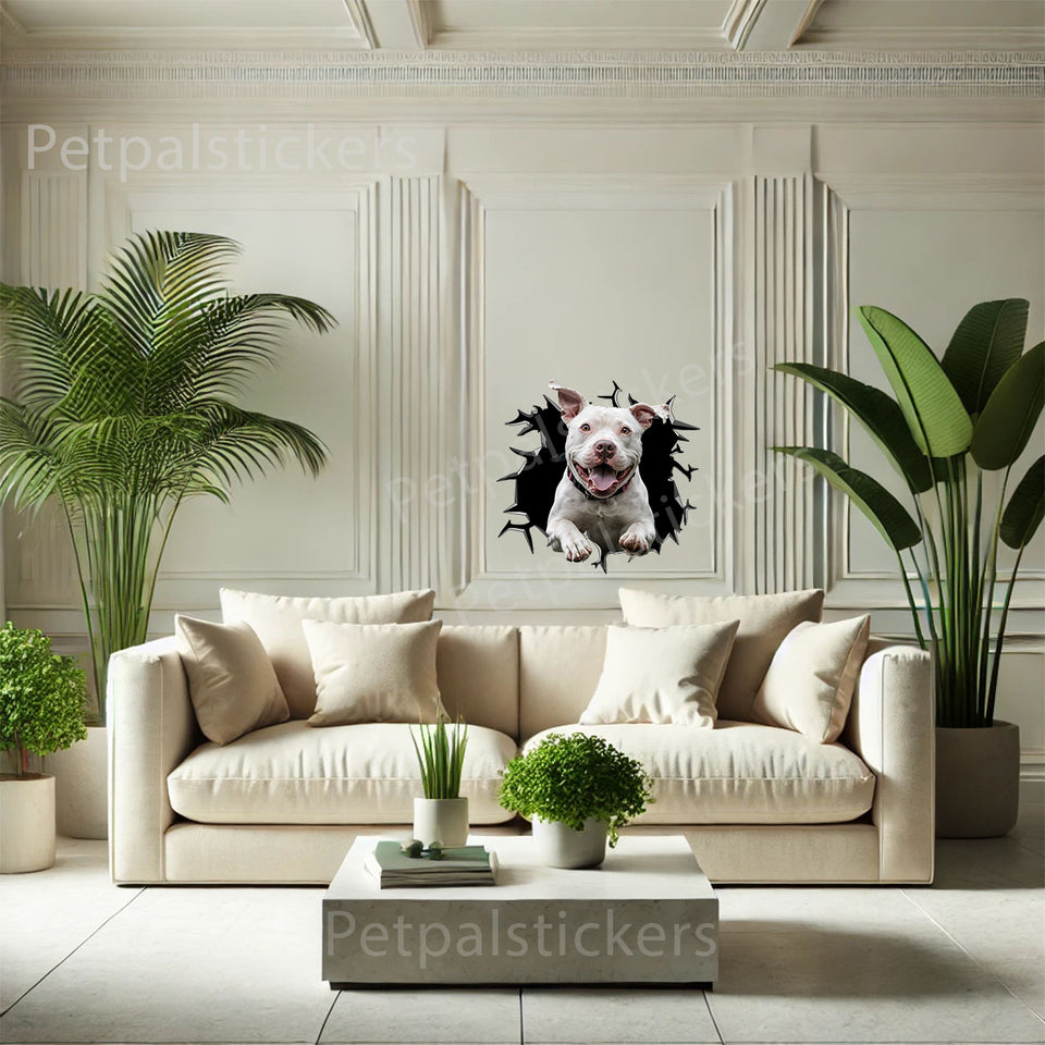 Decorative Pitbull On Board graphic sticker styled neatly on an indoor room wall.