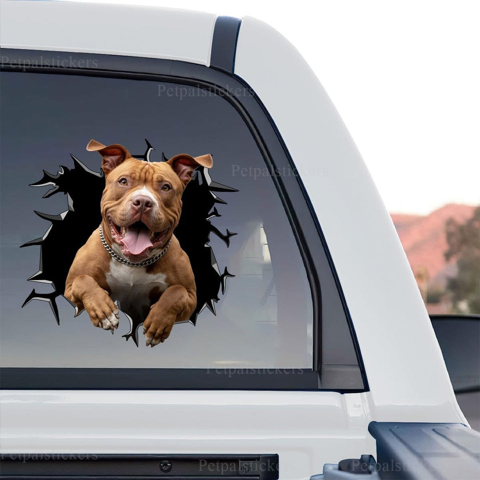 Vibrant Pitbull peeking artwork in a standalone product design format on transparent vinyl.