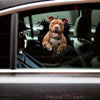 Playful Pitbull graphic sticker seamlessly applied to the exterior metal of a white car door.