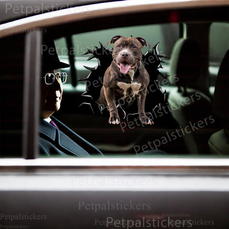 Humorous Pitbull peeking sticker applied on the porcelain surface of a toilet lid.