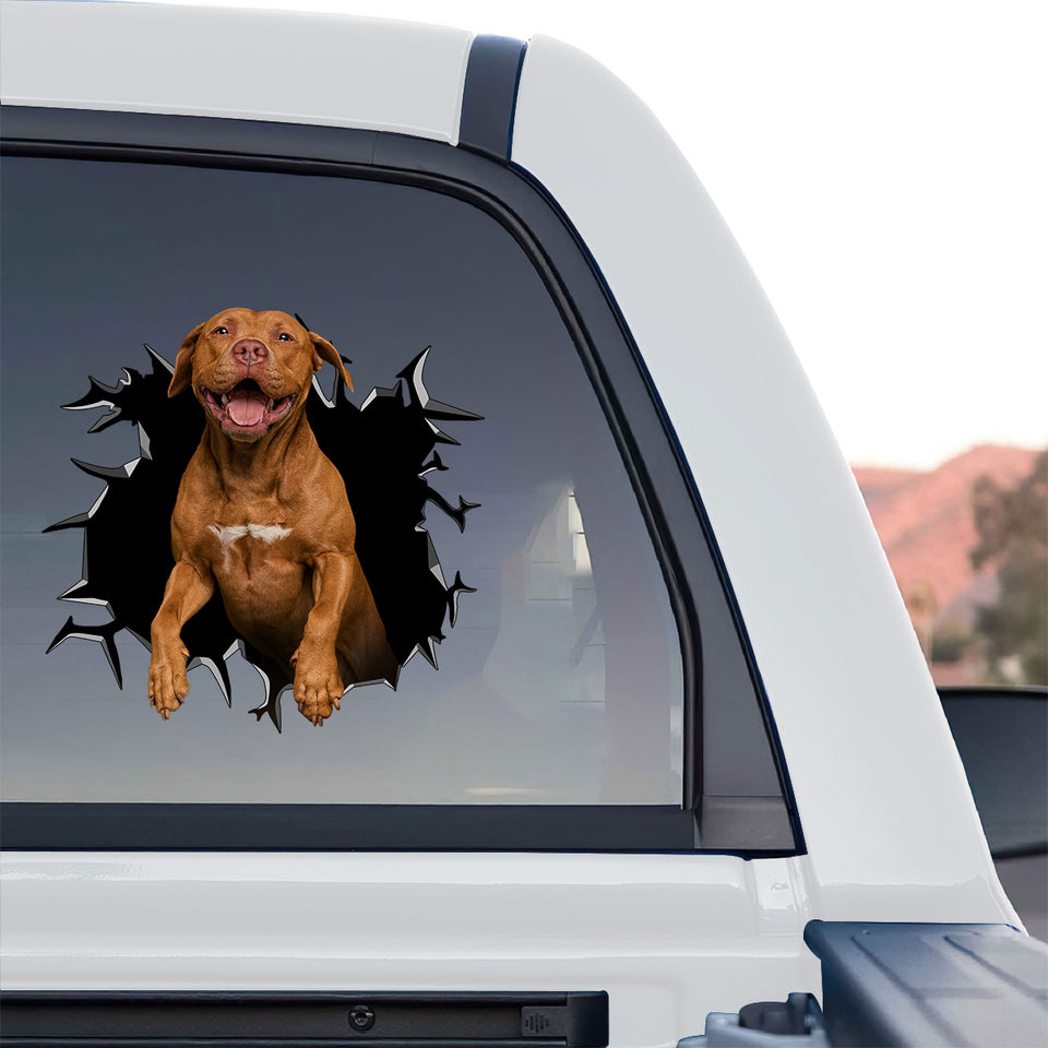 High-visibility Pitbull vinyl decal applied cleanly to the rear window of a truck.