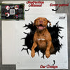 Protective package displaying the premium 11x11 inch Pitbull car window decal.